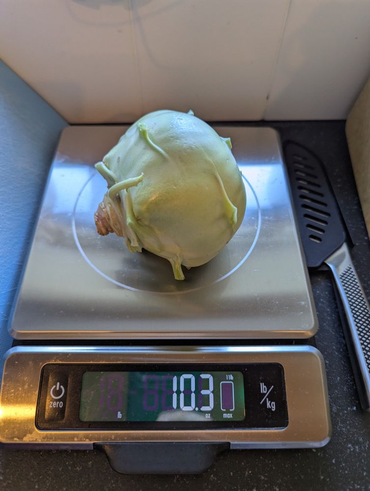 The kohlrabi on a kitchen scale. It weighs 10.3 oz with a bit of the stem attached and prior to peeling, 8.5 oz afterwards.