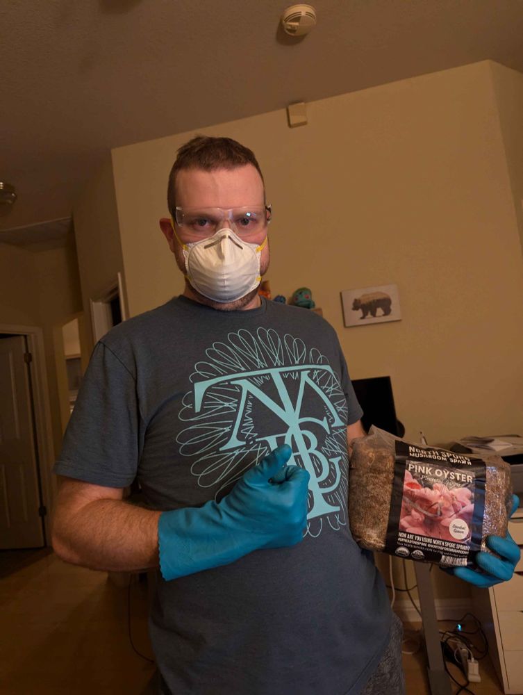 I'm wearing safety glasses, a respirator, and long rubber gloves while holding the pink oyster sawdust spawn I'm about to use.