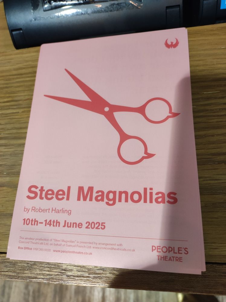 Flier fit Steel Magnolias