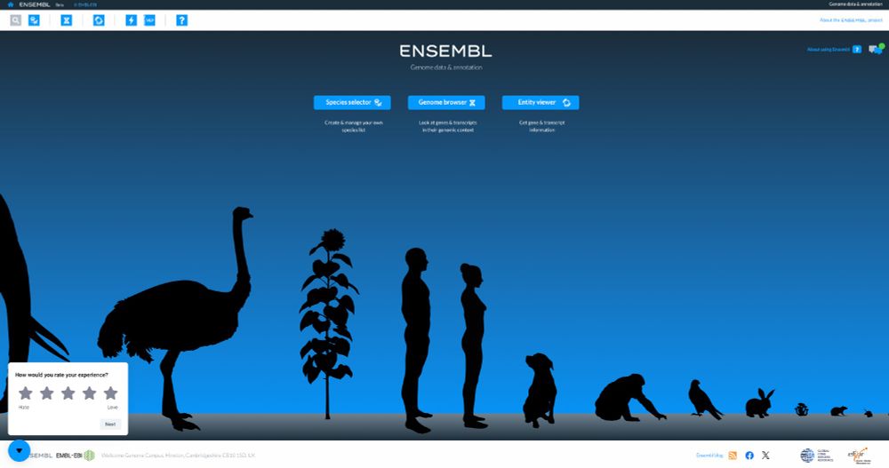 Homepage of the new Ensembl website (https://beta.ensembl.org/)