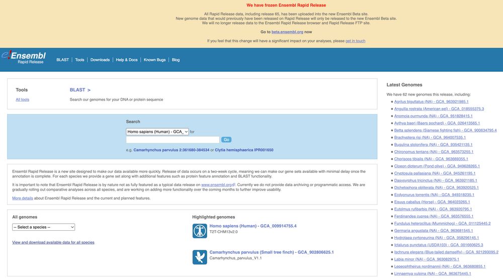 Homepage of the Ensembl Rapid Release site http://rapid.ensembl.org