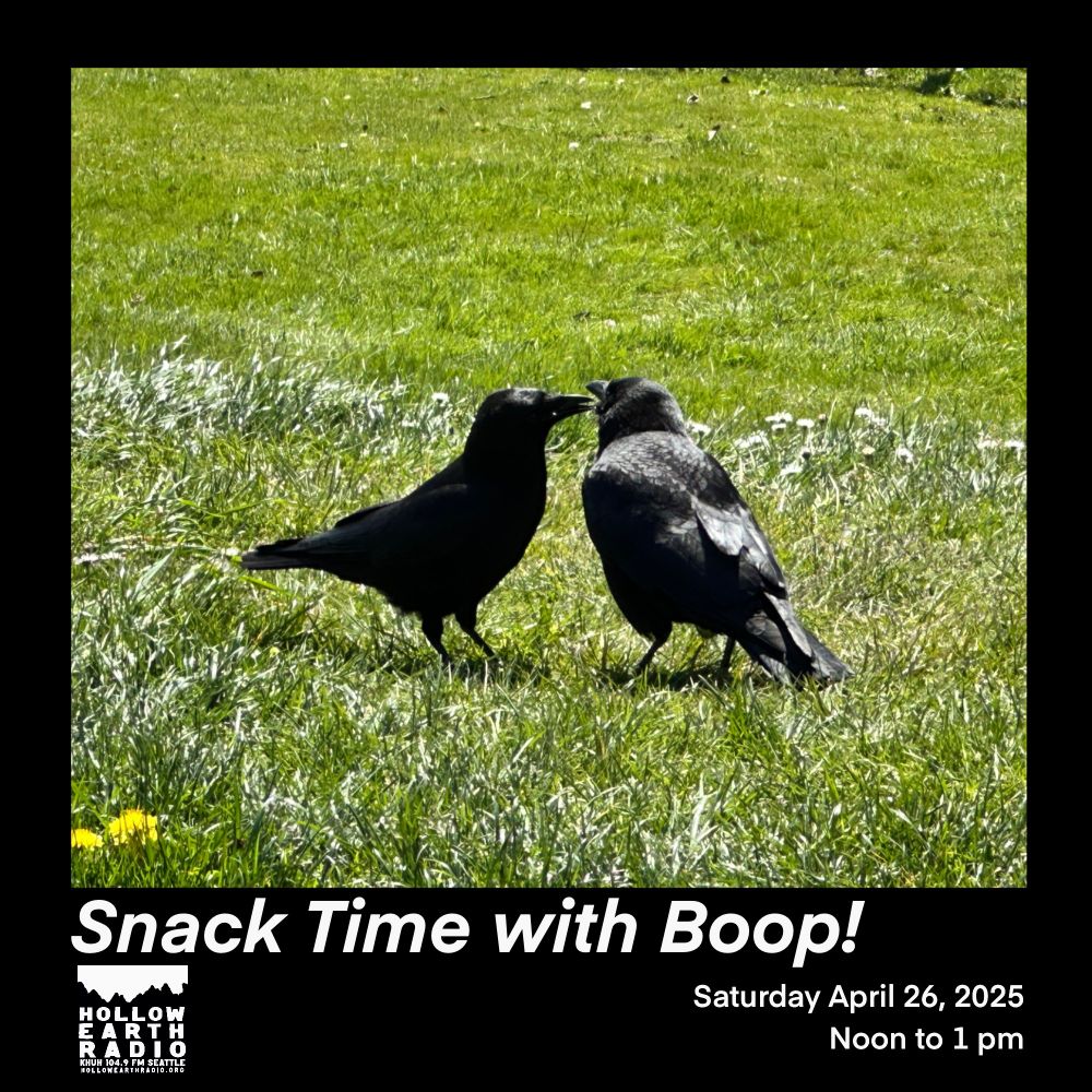 Flyer for Saturday April 26 episode of Snack Time with Boop! The flyer has two crows in the grass on a sunny spring day. 