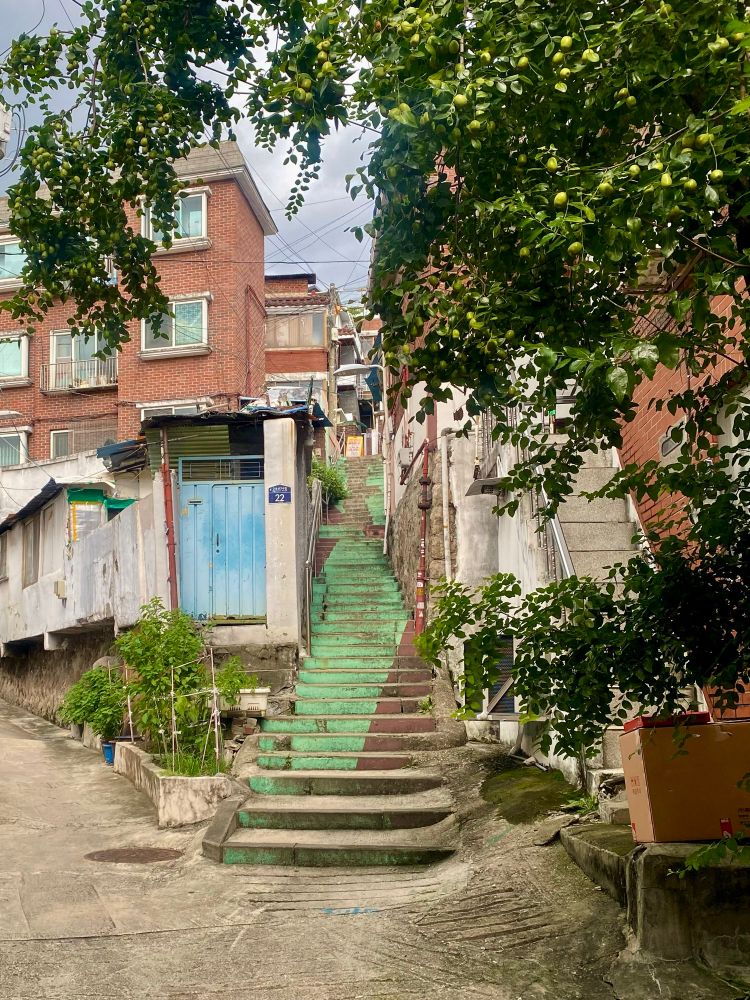 A colourful staircase nestled between houses.