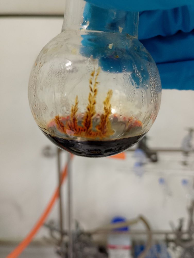 A round bottom flask with red liquid and red crystals growing up the side