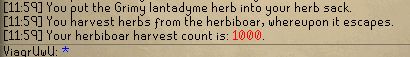A screenshot from osrs, toting 1000 harvest count of Herbiboar by the character ViagrUwU