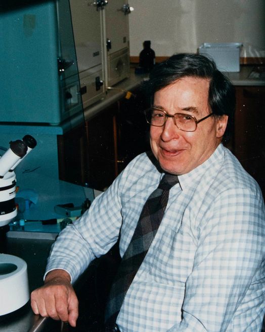 IVF pioneer Robert Edwards, sitting at a microscope, in Bourn Hall, c.1980s, EDWS 18/5/18 