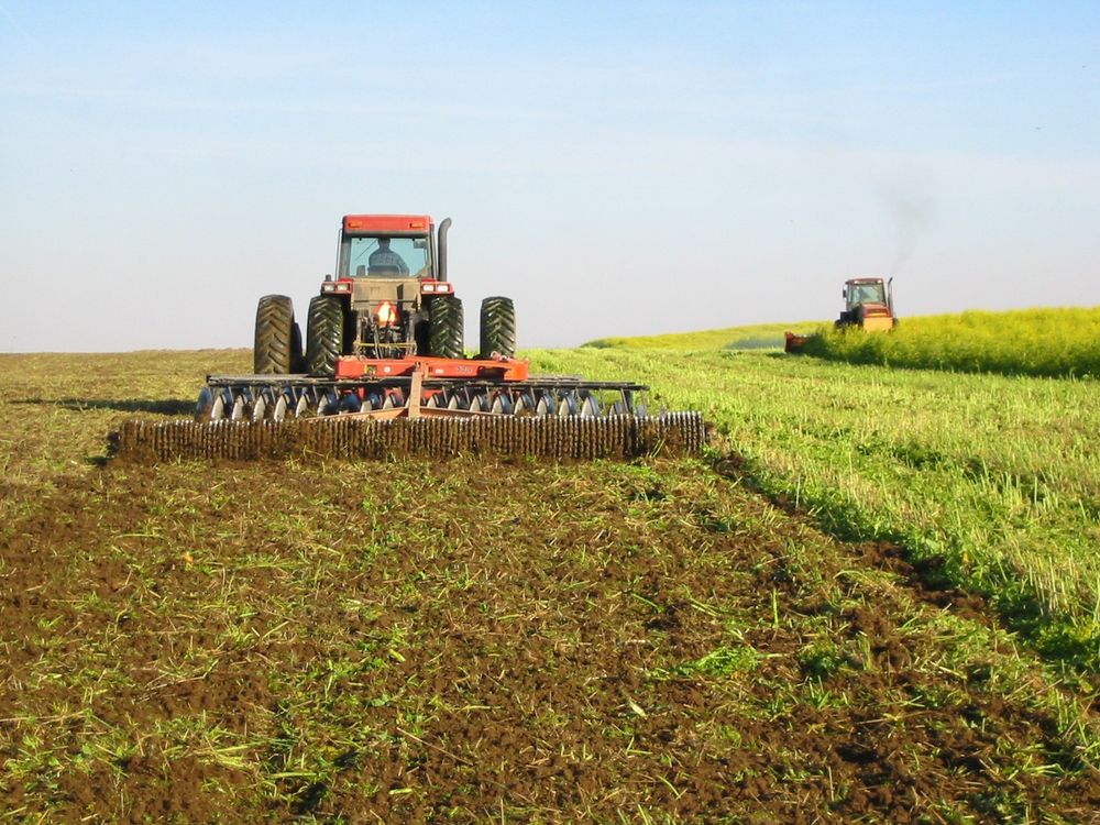 Photo of one tractor chopping a mustard crop followed by another tractor disking the biomass into the soil.
