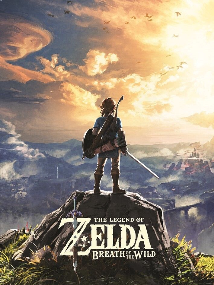Cover of the game Zelda Breath of the Wild. A young man is standing on the top of a mountain looking into the distance.