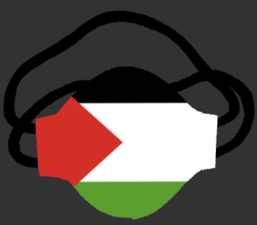 masque 3 pans aux couleurs du drapeau de la Palestine