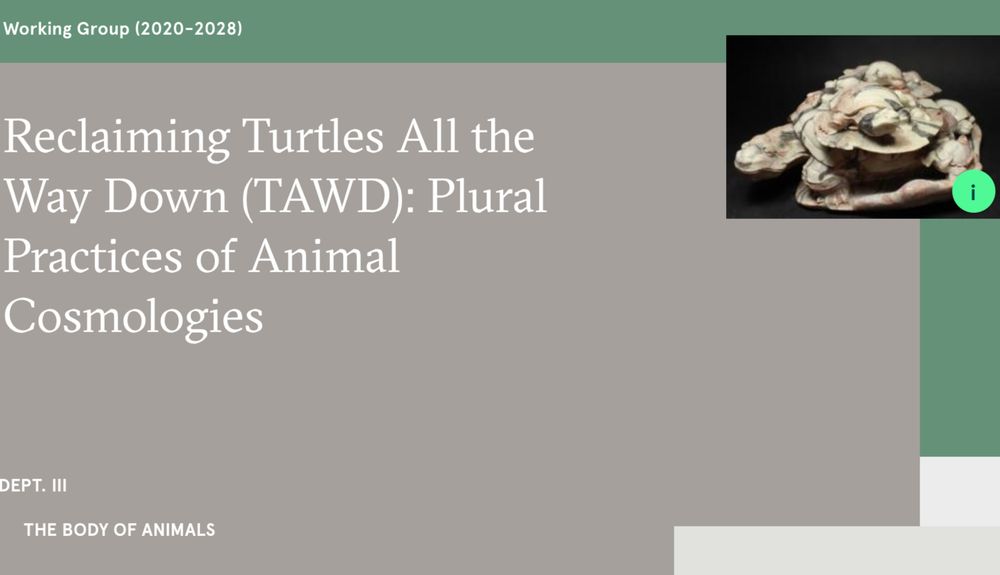 screenshot of MPIWG Reclaiming "Turtles All The Way Down" working group web page https://www.mpiwg-berlin.mpg.de/research/projects/reclaiming-turtles-all-way-down-tawd-plural-practices-animal-cosmologies