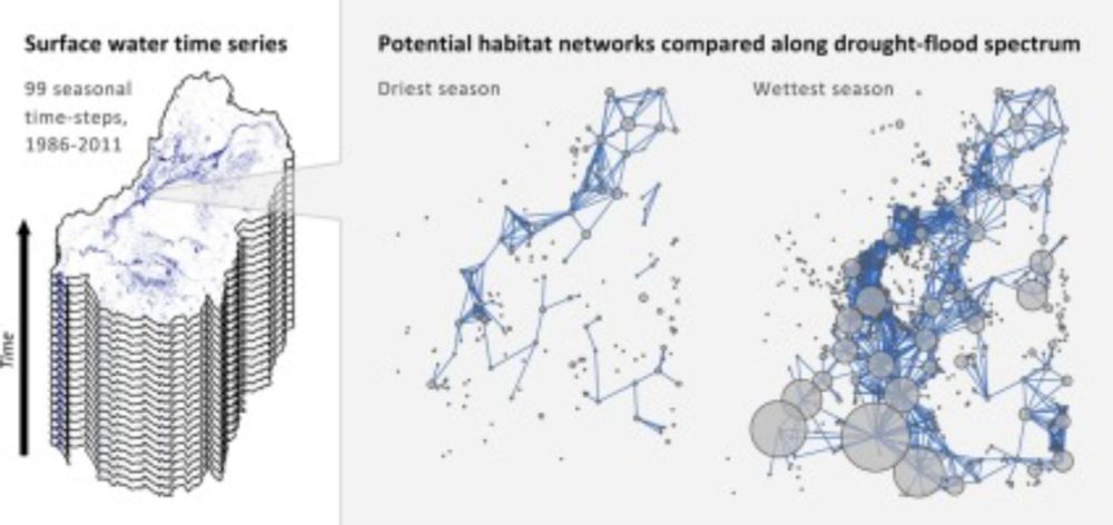 Impact of hydroclimatic variability on regional-scale landscape connectivity across a dynamic dryland region