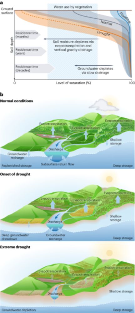 Ecohydrological resilience and the landscape water storage continuum in droughts - Nature Water