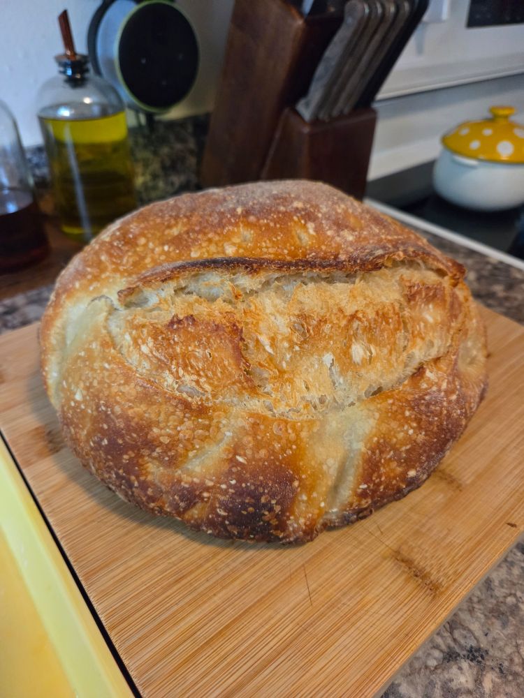 A delicious perfect sourdough loaf with a golden crust sitting on a wooden cutting board in a kitchen that I just spent three hours deep cleaning