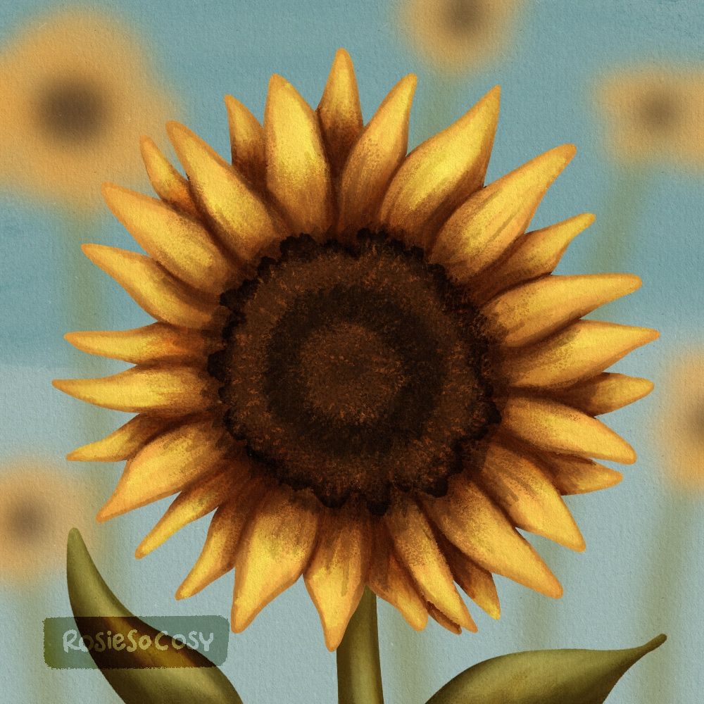 Illustration of a sunflower, with several blurry sunflowers in the background.