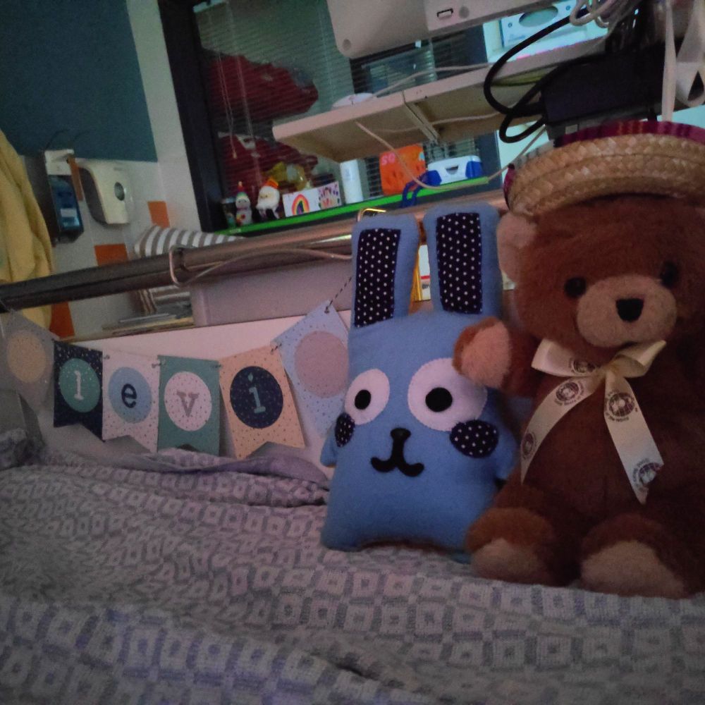 Levi name garland I crafted before he was transported to the UMC WKZ Children's Hospital, and the Freezer Bunny I sewed whilst he was in the ICU.