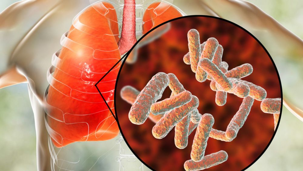 Antibiotic resistance can impact a pathogen’s ability to invade the respiratory microbiome