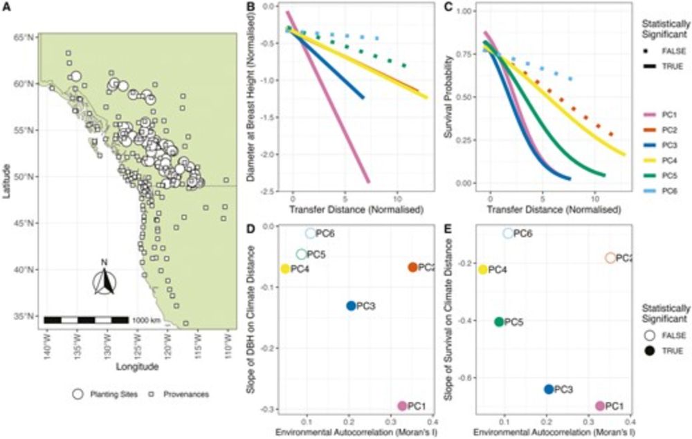 The structure of the environment influences the patterns and genetics of local adaptation