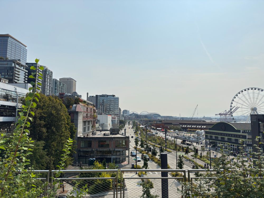 (2025) A view of a bustling waterfront area in Seattle, featuring modern buildings, a wide promenade lined with greenery, and the Seattle Aquarium. A large Ferris wheel is visible in the background, along with cranes and docks indicating ongoing port activity.