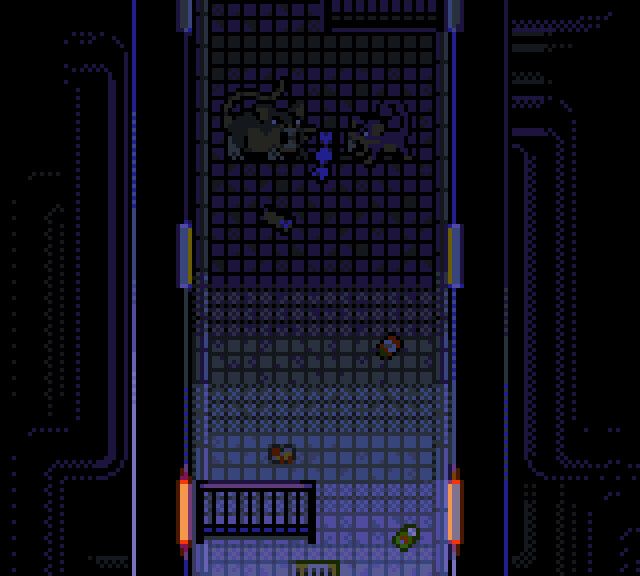 Closer to the exit, a Raticate and a Ratatat fight over a Candy. More trash litters the floor.