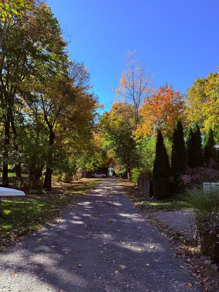 A photo from my walk today. Green, orange, and yellow leaves on the trees. Scattered fallen leaves all over the dirt path. And a gorgeous bright blue sky 