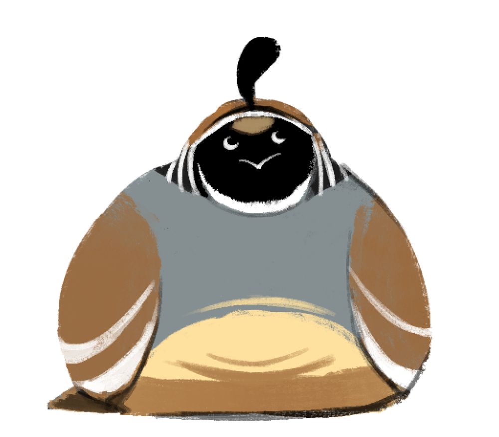 a simplified depiction of a california quail