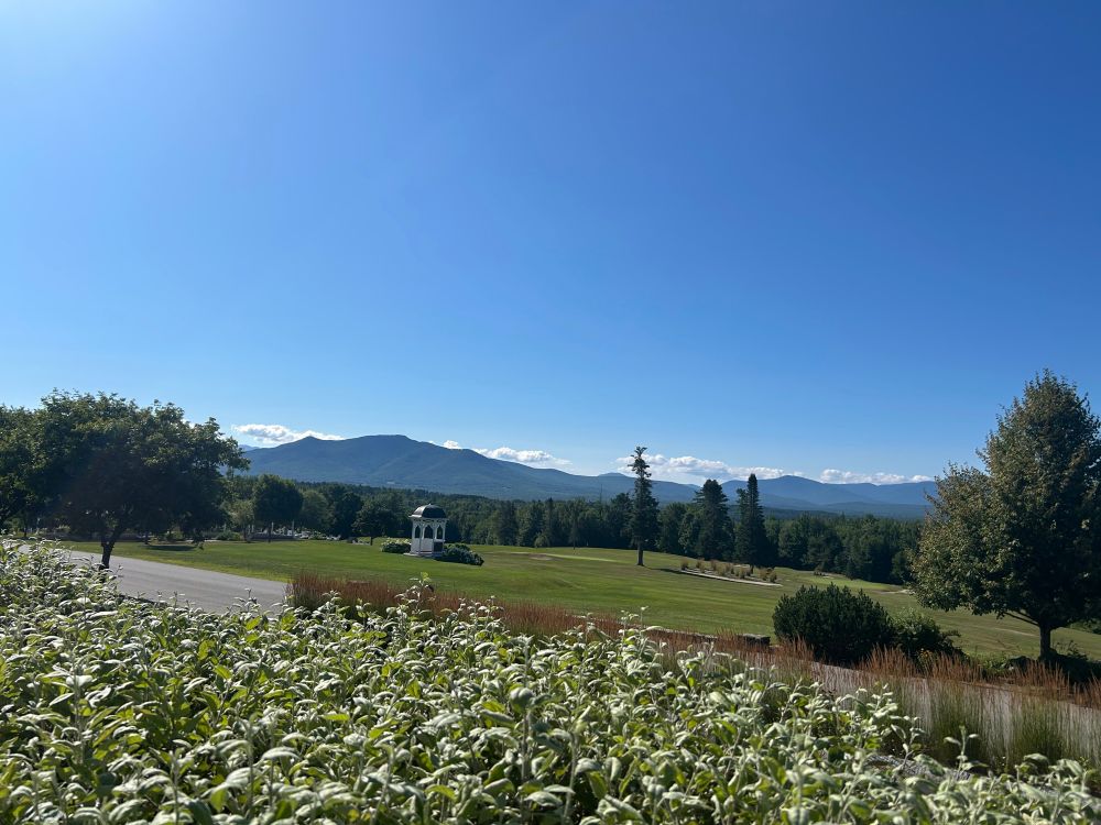 View of the white Mountains 