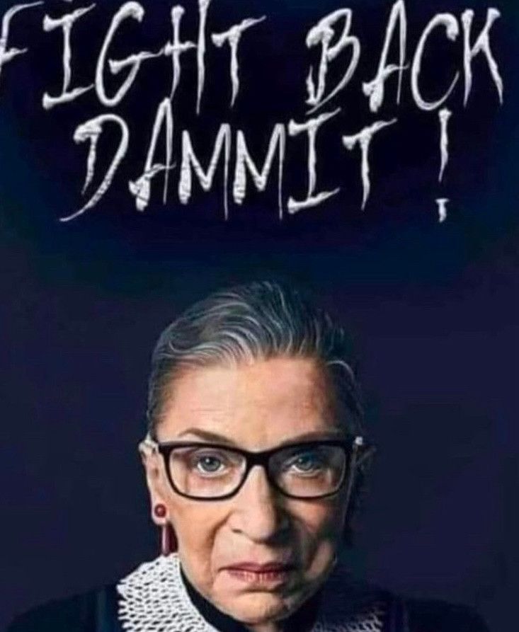 Picture of RBG in full Robes.
Text: Fight Back Dammit!