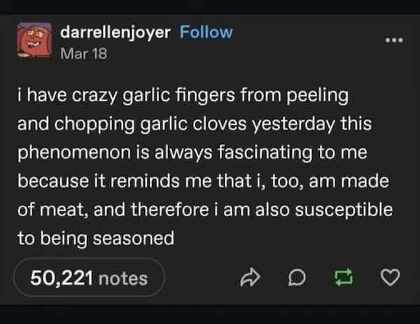 We are all just meat that can be seasoned...maybe just be cool. And release the Epstein files. 