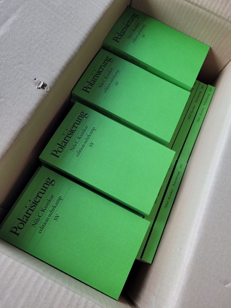 Karton mit meinem neuen Buch „Polarisierung“