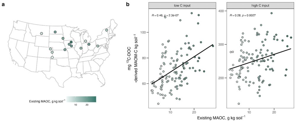 Map of the U.S. showing sampling sites (left) and results from subsequent laboratory incubation (right) showing positive association between existing mineral-associated organic carbon (MAOC) and new MAOC formation. 
