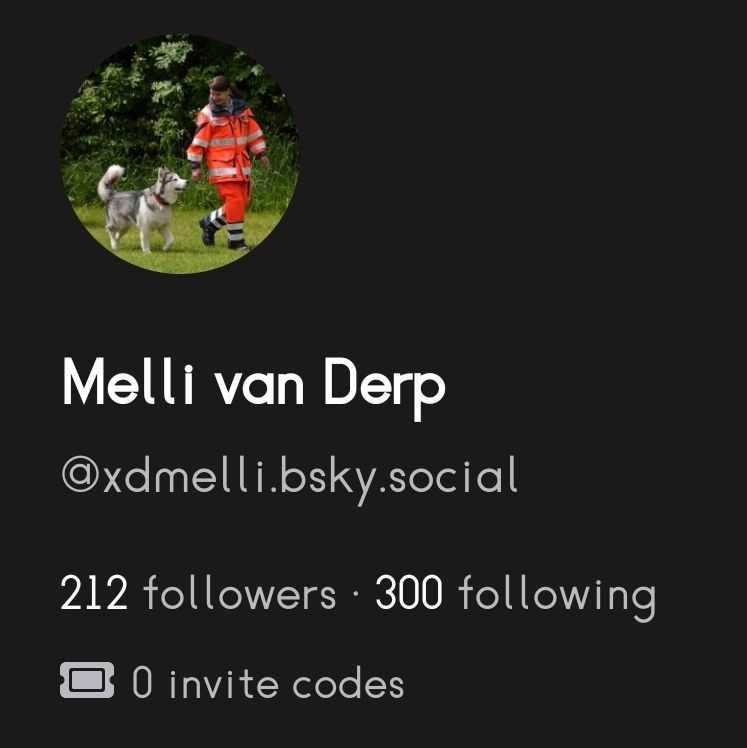 Screenshot von meinem Profil:
212 Follower / 300 folgend