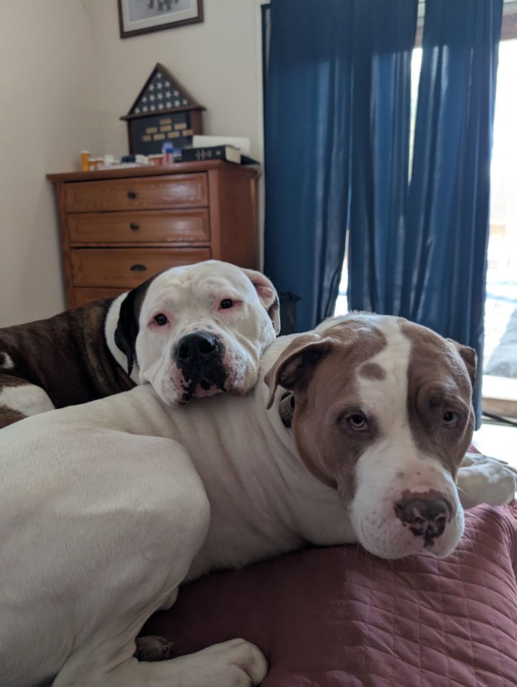 These two goofballs