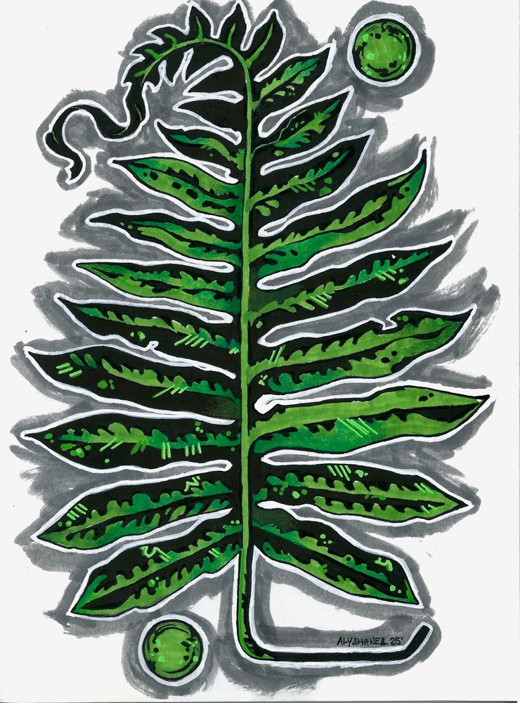 A drawing of a brightly colored leaf. 