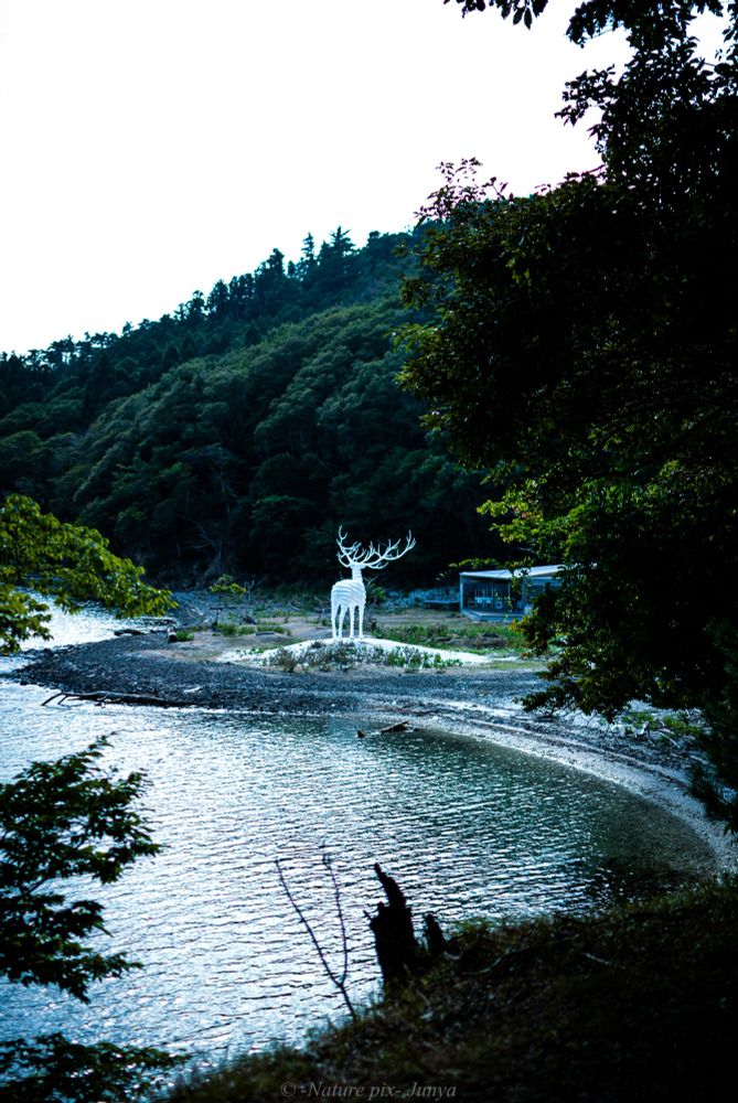 小さな入り江に立っています