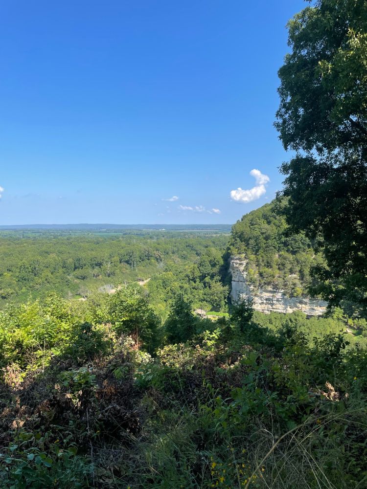 Illinois' little grand canyon, a box candyon, the canyon is full of trees with green tops, on the right you can see some of the white sandstone