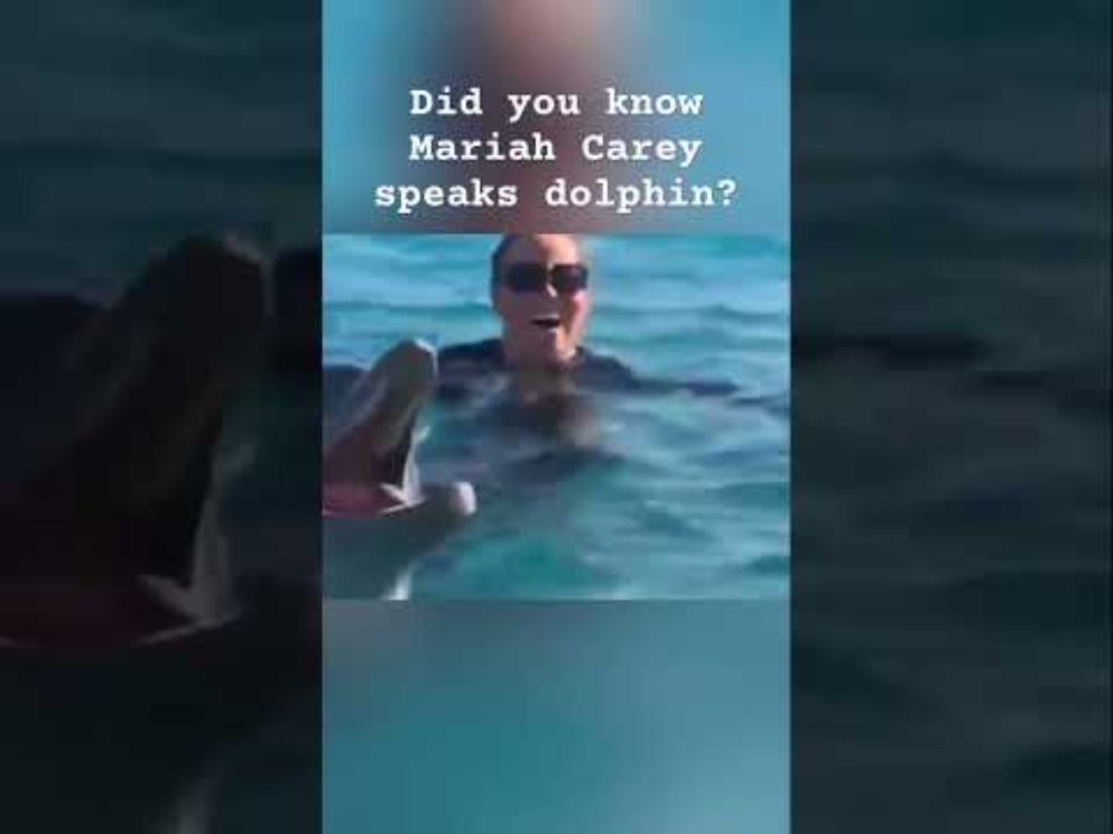 That time Mariah Carey spoke with a dolphin #mariahcarey #dolphin in