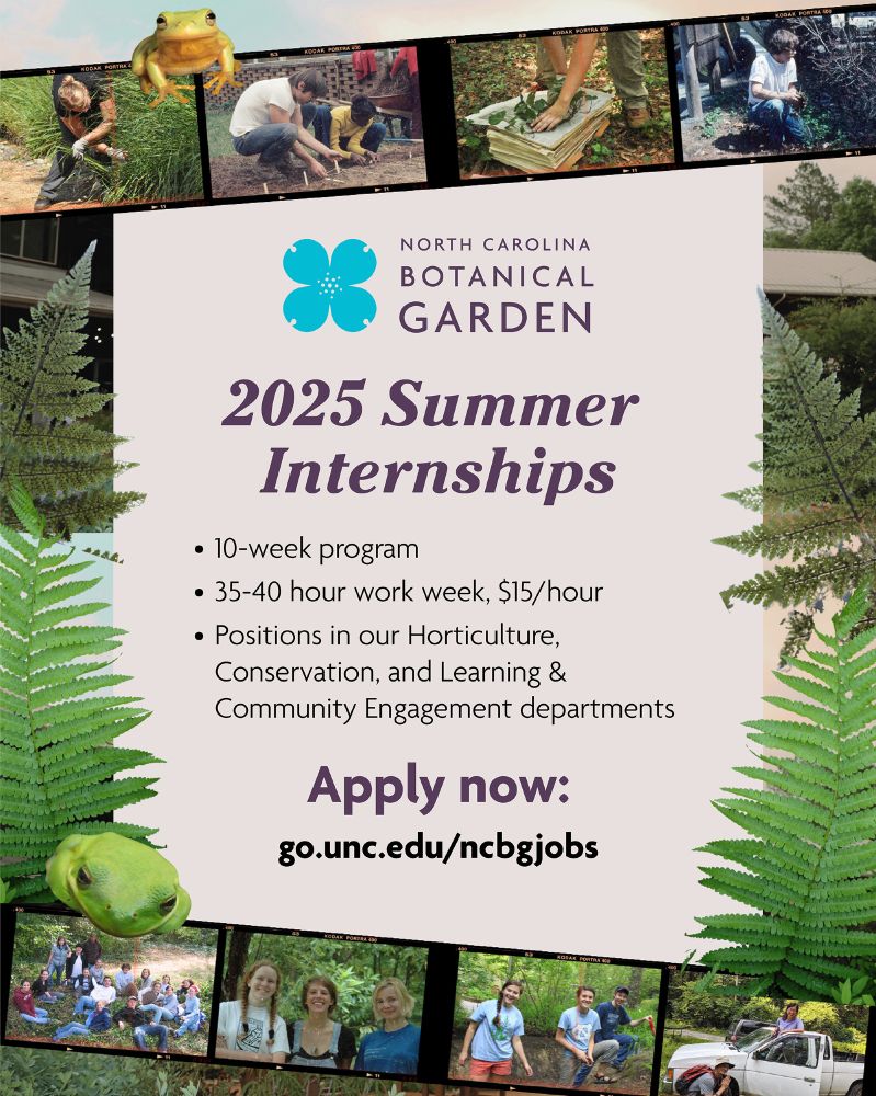 Flyer for our summer internships with a border of photos of past interns and cut-outs of ferns and frogs. 2025 Summer Internships: 10-week program, 35-40 hour work week, $15/hour. Positions in our horticulture, conservation, and learning & community engagement departments. 