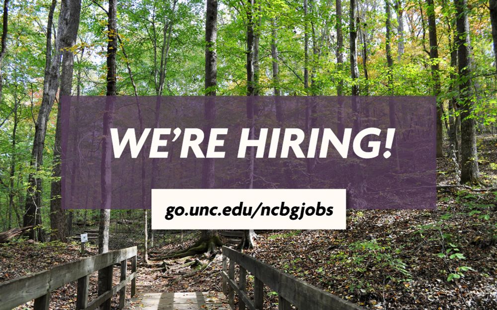 We're hiring! go.unc.edu/ncbgjobs. Background photo is of a wooden bridge in our Piedmont Nature Trails in the fall