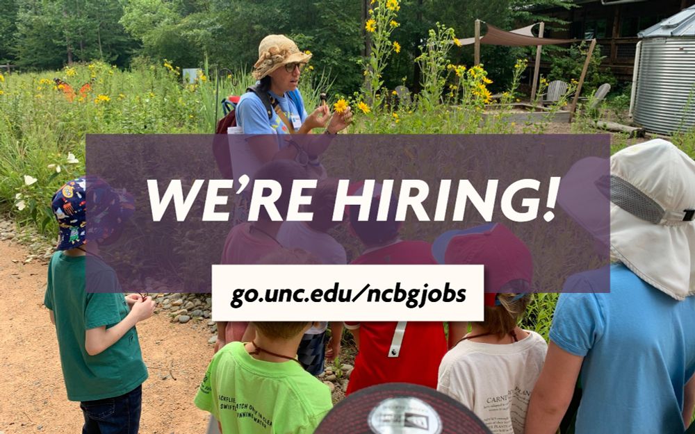 A camp educator points out a rosinweed flower to a group of campers. Text reads We're Hiring! go.unc.edu/ncbgjobs