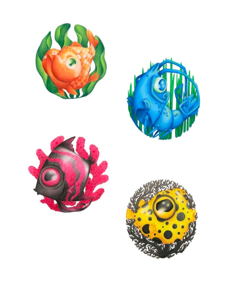 Four colorful fish illustrations
