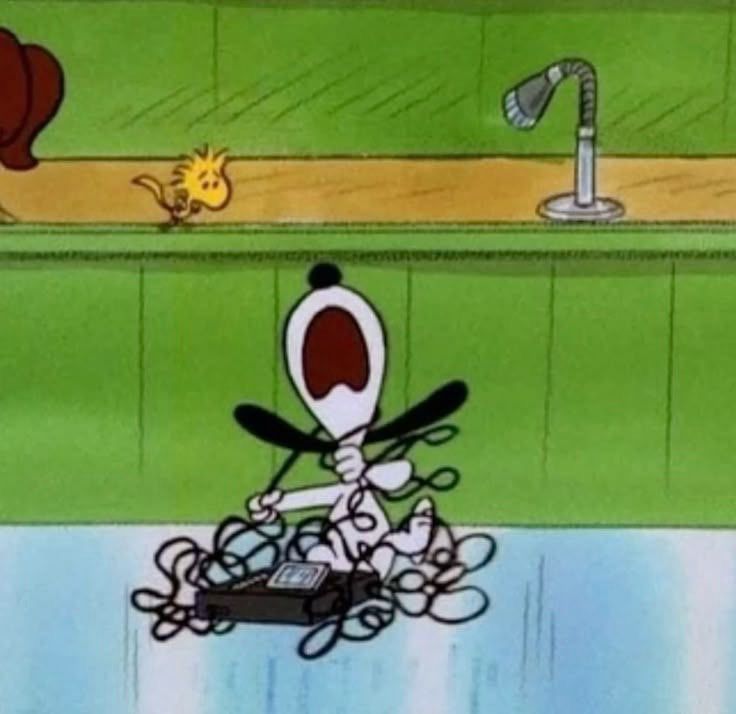 esnupi (snoopy) wrapped with tape spool 