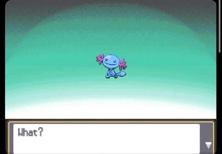 wooper pokemon saying what? 