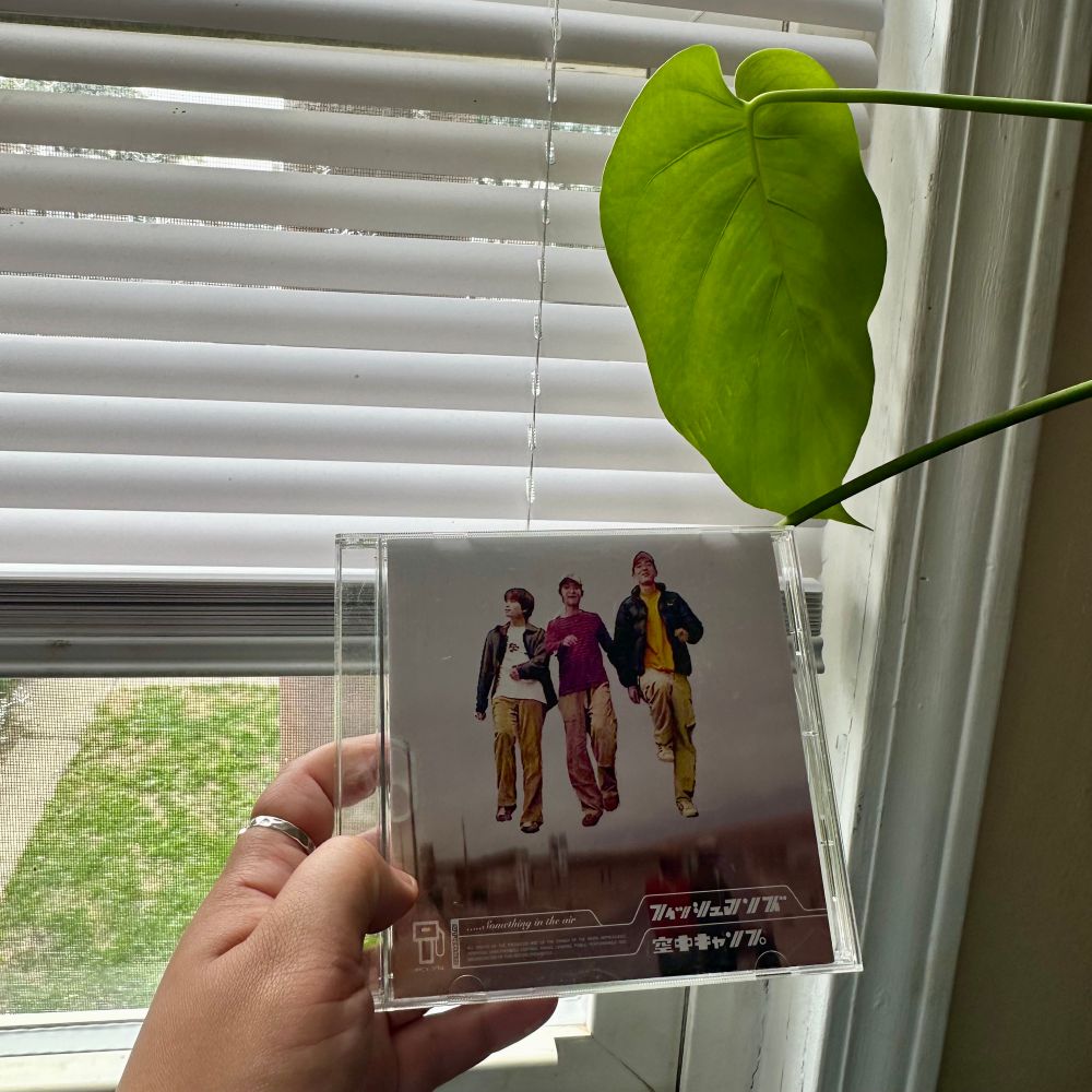 my hand holding Fishmans - Kūchū Camp (Something in the Air) CD in front of blinds and a plant leaf
