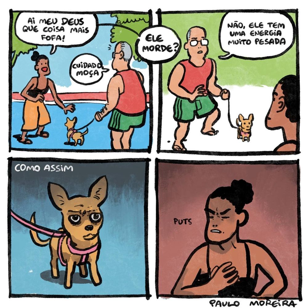 uma tirinha com quatro quadros, o primeiro vemos uma mulher encontrando um senhor passeando com seu cachorrinho pequeno, ela logo diz "ai meu Deus, que coisa fofa!" O senhor responde "cuidado moça!"
no segundo quadro ela pergunta "ele morde?" E ele "não, ele tem uma energia muito pesada", e ela sem entender "como assim?"
no terceiro quadro vemos o cachorro com uma cara nada amigável, franzindo a testa, não com raiva mas como quem teve um dia cheio de problemas...
No último quadro a moça põe a mão no coração e diz "puts", como quem SENTIU a energia