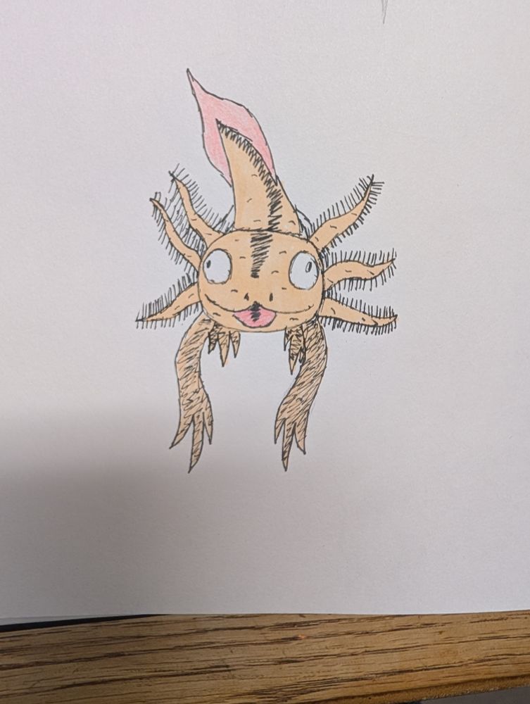 A wall-eyed axolotl doing a blep with its tongue