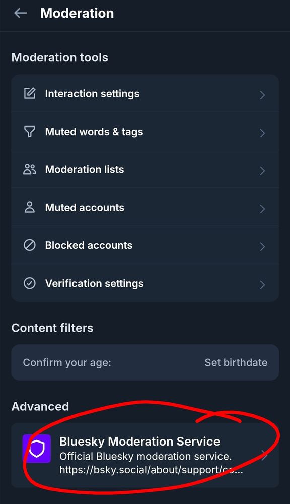 Screencap of Bsky Moderation page, with the Bluesky Moderation Service option circled in red. 
