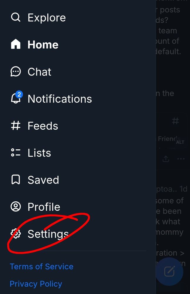 Screencap of Bsky hamburger menu expanded, with the Settings option circled in red. 