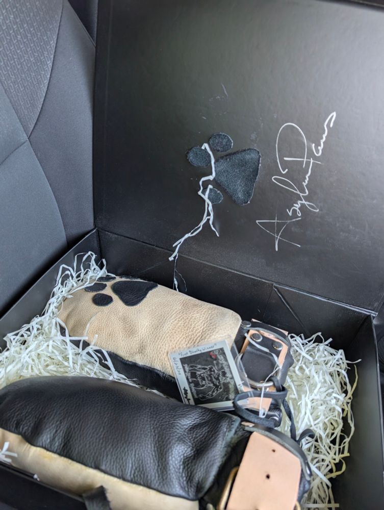Amazing packaging and leather mitts from Asylum. 
Shredded paper bedding in a black cardboard box, black leather paw pads on the lid of the box