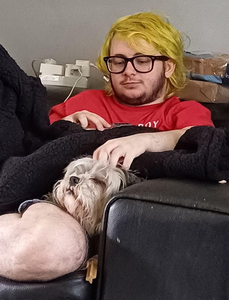 Scrungy lola getting head pets from James while laying in the nook of the couch