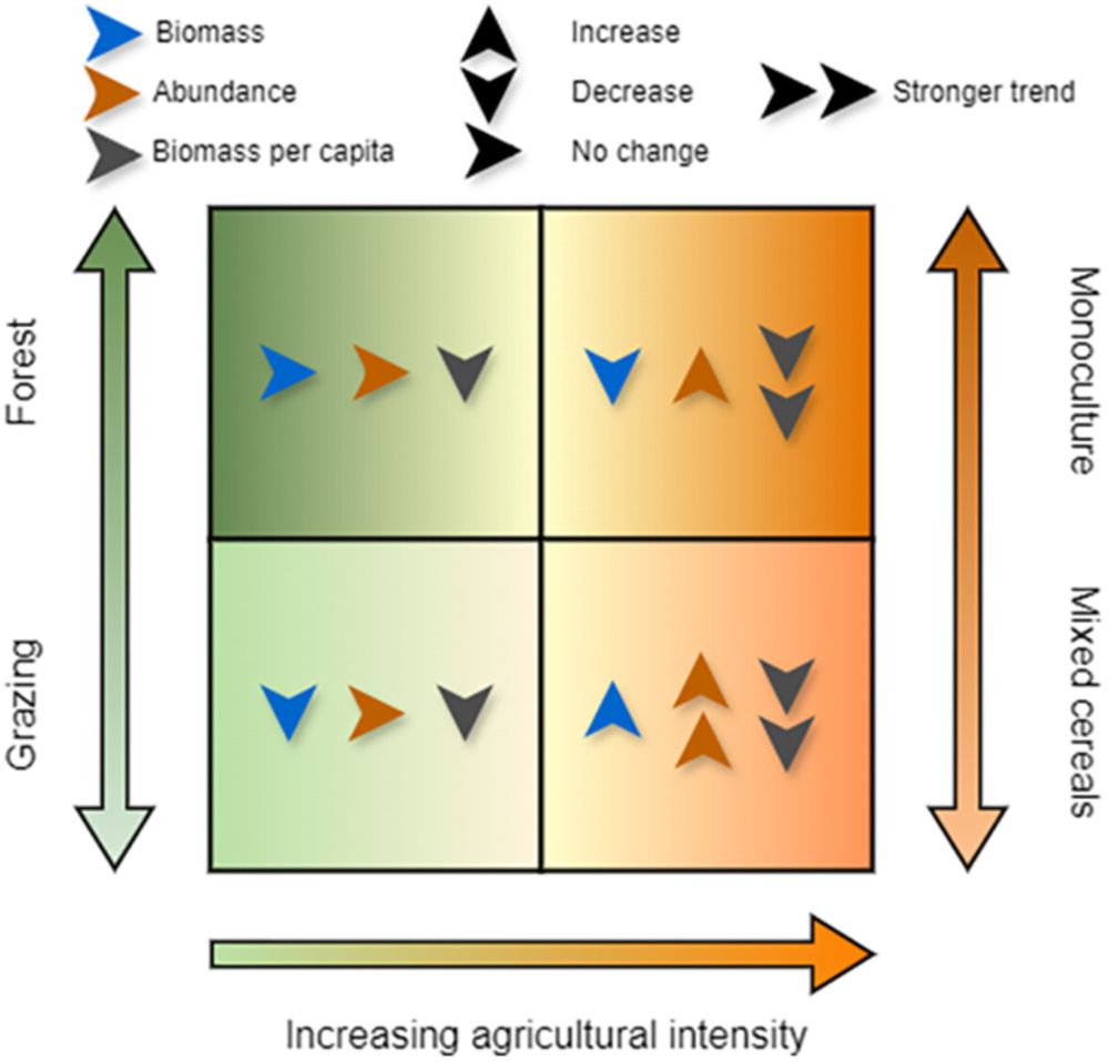 Complex temporal trends in biomass and abundance of Diptera communities driven by the impact of agricultural intensity